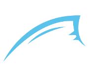 Bluefin SUP Paddle Board 