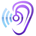 Hearing Aid Accessories