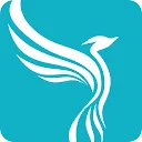 Your Company Formations